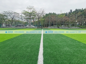 廣東省深圳市——新橋市民廣場體育公園 廣東省深圳市——新橋市民廣場體育公園